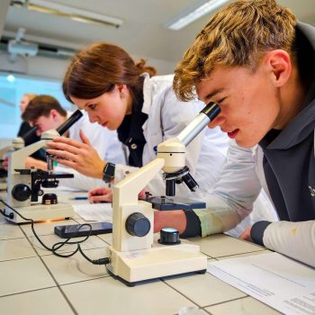 dod25_0016 dod25_0016