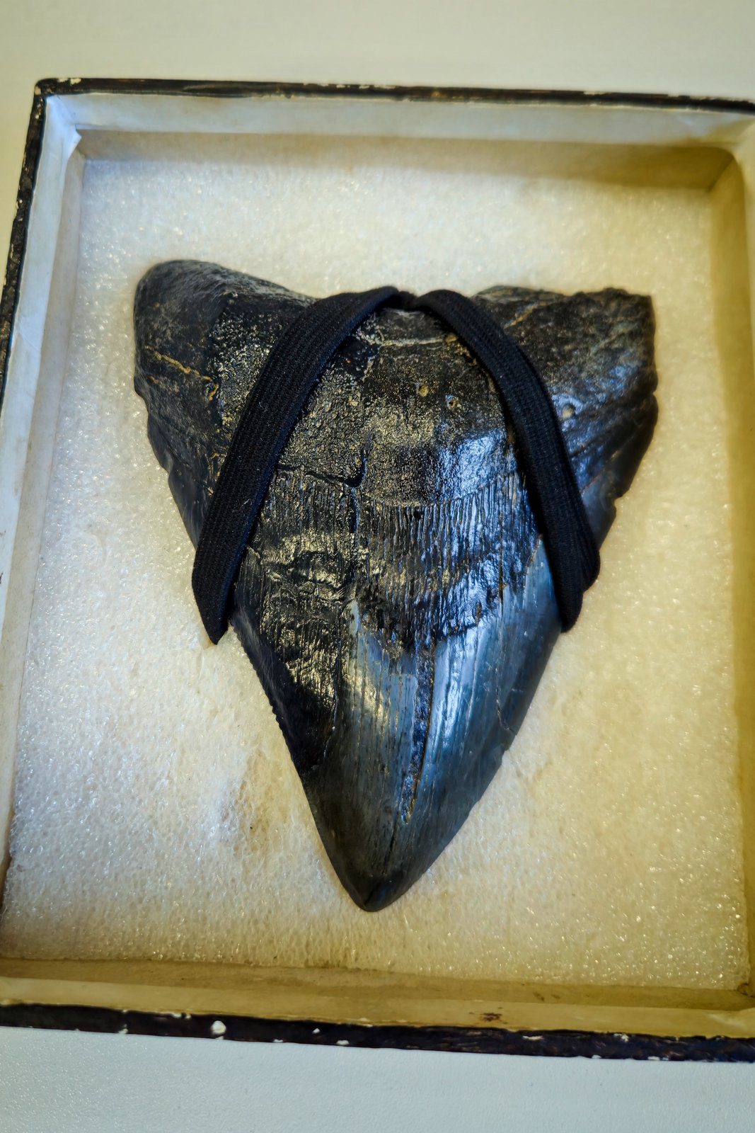 trilopark26_0010