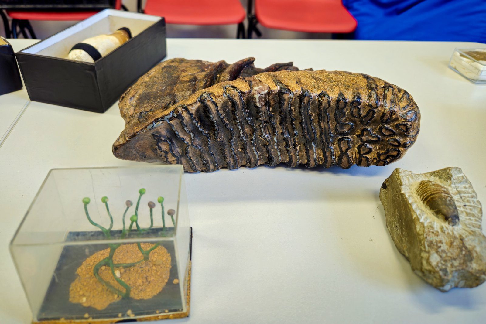 trilopark26_0011